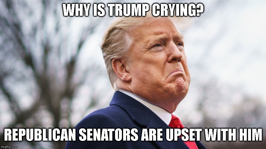 Trump Thought He Could Screw Up Everything - Republicans Finally Wake Up and Say NO! | WHY IS TRUMP CRYING? REPUBLICAN SENATORS ARE UPSET WITH HIM | image tagged in donald trump is an idiot,republicans,impeach trump,traitor,trump traitor | made w/ Imgflip meme maker