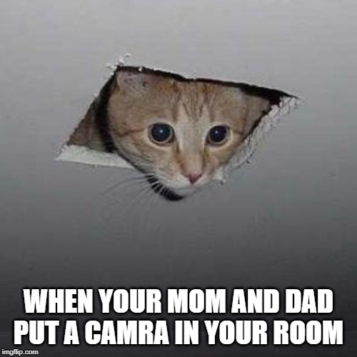 Ceiling Cat Meme | WHEN YOUR MOM AND DAD PUT A CAMRA IN YOUR ROOM | image tagged in memes,ceiling cat | made w/ Imgflip meme maker