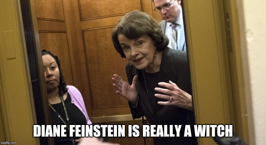 Sneaky Diane Feinstein | DIANE FEINSTEIN IS REALLY A WITCH | image tagged in sneaky diane feinstein | made w/ Imgflip meme maker