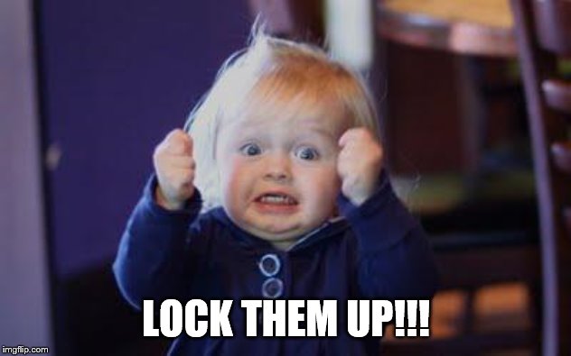 excited kid | LOCK THEM UP!!! | image tagged in excited kid | made w/ Imgflip meme maker