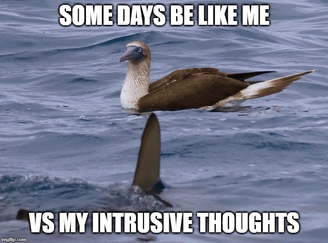 Me and My OCD | SOME DAYS BE LIKE ME; VS MY INTRUSIVE THOUGHTS | image tagged in me and my ocd | made w/ Imgflip meme maker