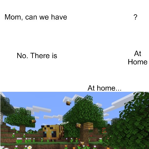 Mom can I have (Mc bee format) Blank Meme Template
