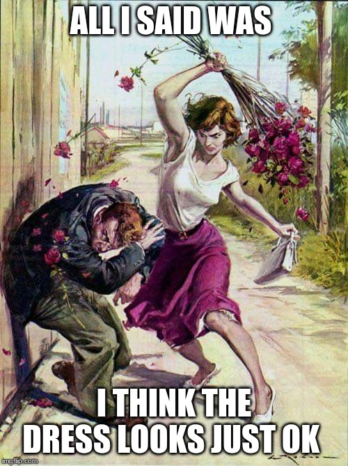 Beaten with Roses | ALL I SAID WAS; I THINK THE DRESS LOOKS JUST OK | image tagged in beaten with roses | made w/ Imgflip meme maker