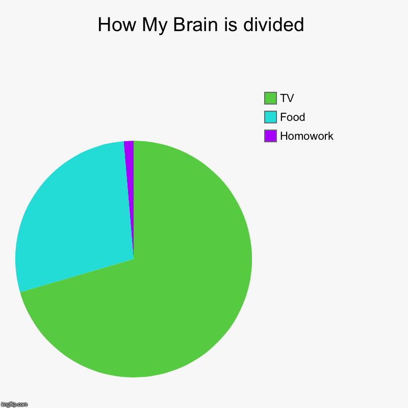 How My Brain is divided | Homowork, Food, TV | image tagged in charts,pie charts | made w/ Imgflip chart maker