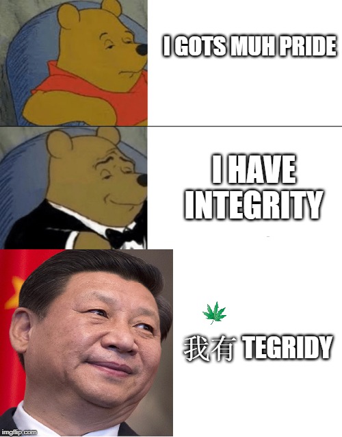 I GOTS MUH PRIDE; I HAVE INTEGRITY; 我有 TEGRIDY | image tagged in memes,tuxedo winnie the pooh | made w/ Imgflip meme maker