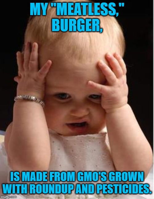 confused cutie | MY "MEATLESS," BURGER, IS MADE FROM GMO'S GROWN WITH ROUNDUP AND PESTICIDES. | image tagged in confused cutie | made w/ Imgflip meme maker