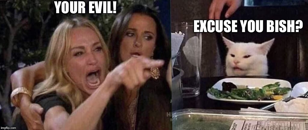 woman yelling at cat | YOUR EVIL! EXCUSE YOU BISH? | image tagged in woman yelling at cat | made w/ Imgflip meme maker