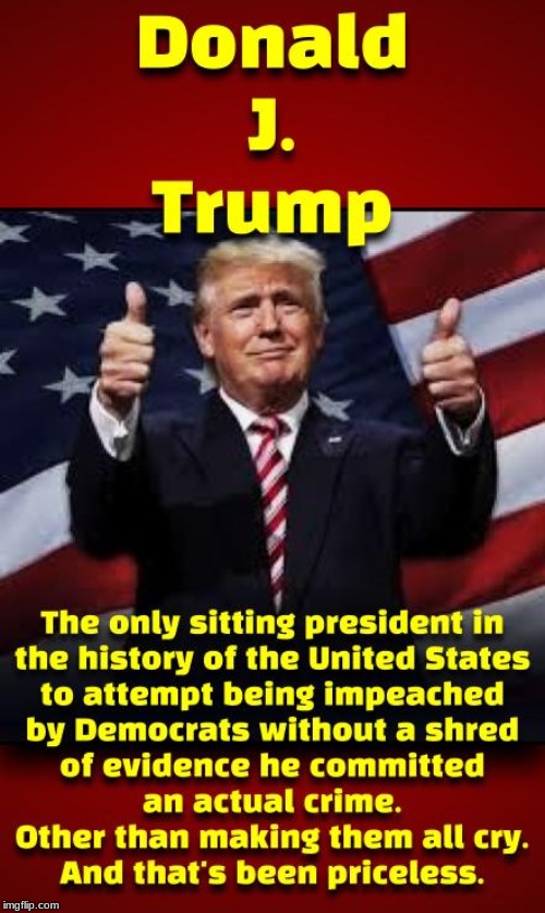 Without doubt Trump has been the most persecuted, slandered and harassed president in the history of American politics. | image tagged in trump 2020,political,politics,donald trump approves | made w/ Imgflip meme maker