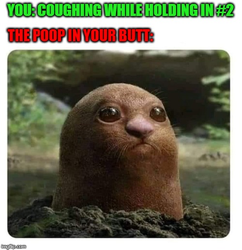 Don't shoot the poop!!! | YOU: COUGHING WHILE HOLDING IN #2; THE POOP IN YOUR BUTT: | image tagged in poop scoping,memes,coughing,funny,number two,hershey highway | made w/ Imgflip meme maker