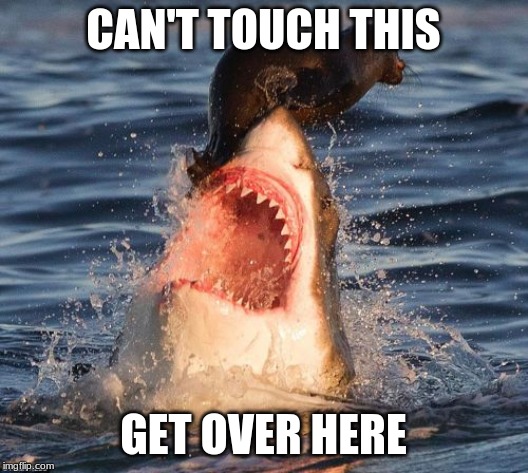 Travelonshark Meme | CAN'T TOUCH THIS; GET OVER HERE | image tagged in memes,travelonshark | made w/ Imgflip meme maker