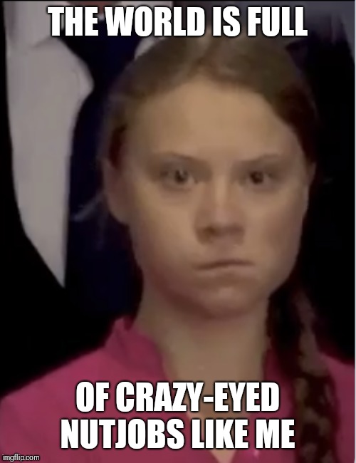 THE WORLD IS FULL; OF CRAZY-EYED NUTJOBS LIKE ME | image tagged in climate change girl | made w/ Imgflip meme maker