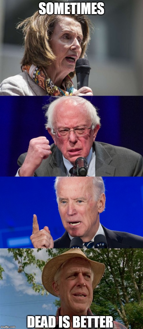 THEY ROSE FROM THE PET SEMATARY | SOMETIMES; DEAD IS BETTER | image tagged in pet sematary,joe biden,nancy pelosi,bernie sanders | made w/ Imgflip meme maker