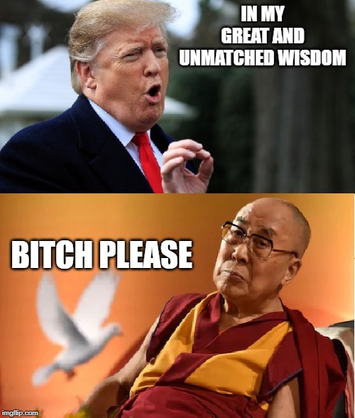 IN MY GREAT AND UNMATCHED WISDOM; BITCH PLEASE | image tagged in donald trump,dalai lama,wisdom,politics,political meme | made w/ Imgflip meme maker