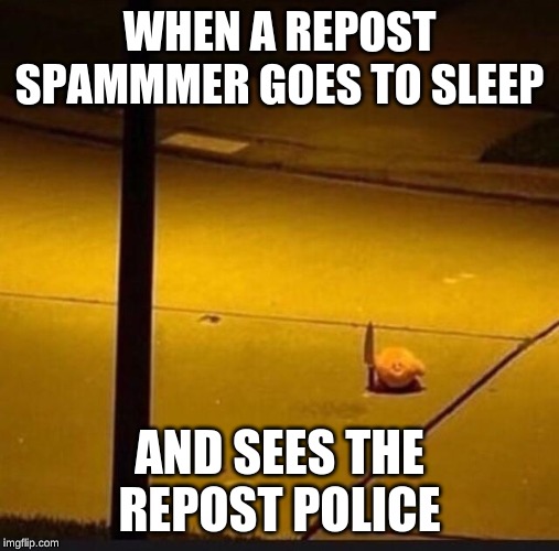 Kirby with Knife (2) |  WHEN A REPOST SPAMMMER GOES TO SLEEP; AND SEES THE REPOST POLICE | image tagged in kirby with knife 2 | made w/ Imgflip meme maker