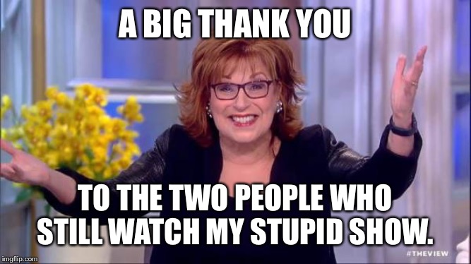 joy behar | A BIG THANK YOU; TO THE TWO PEOPLE WHO STILL WATCH MY STUPID SHOW. | image tagged in joy behar,libtards | made w/ Imgflip meme maker