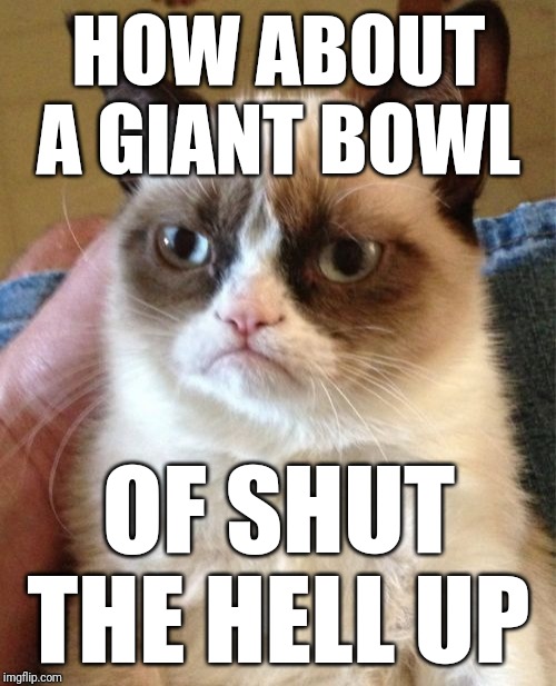 Grumpy Cat Meme | HOW ABOUT A GIANT BOWL OF SHUT THE HELL UP | image tagged in memes,grumpy cat | made w/ Imgflip meme maker