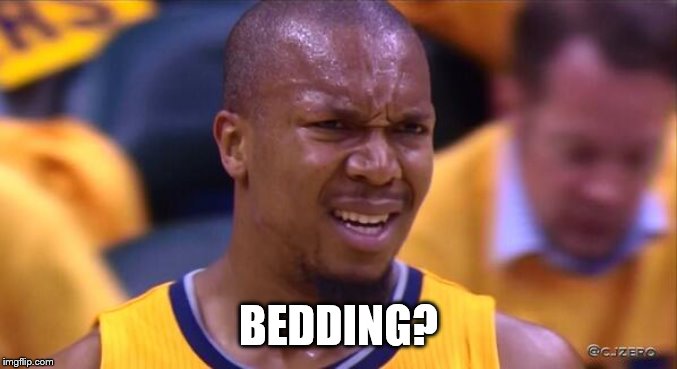 huh | BEDDING? | image tagged in huh | made w/ Imgflip meme maker