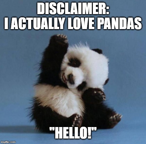 Panda | DISCLAIMER:
I ACTUALLY LOVE PANDAS "HELLO!" | image tagged in panda | made w/ Imgflip meme maker