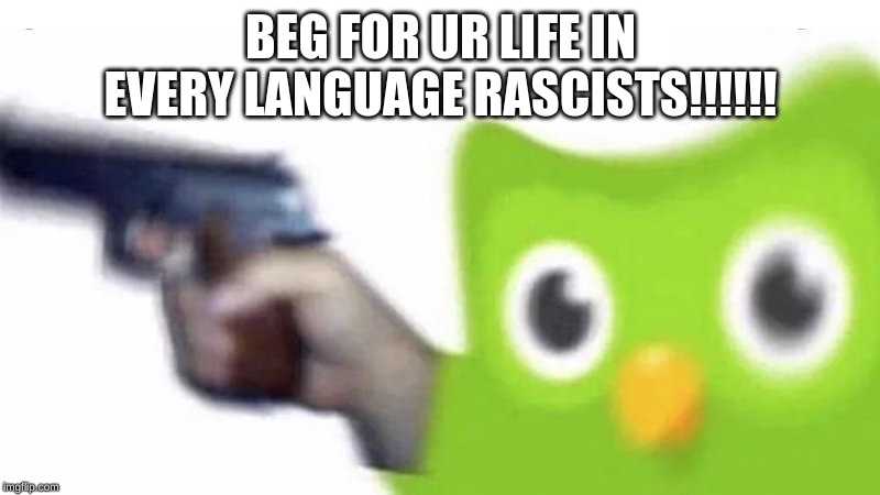 duolingo gun | BEG FOR UR LIFE IN EVERY LANGUAGE RASCISTS!!!!!! | image tagged in duolingo gun | made w/ Imgflip meme maker