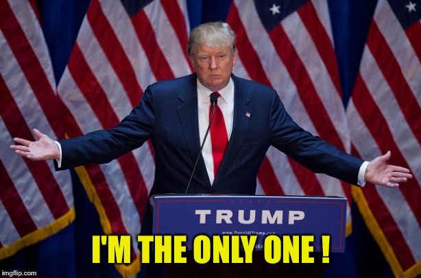 Donald Trump | I'M THE ONLY ONE ! | image tagged in donald trump | made w/ Imgflip meme maker