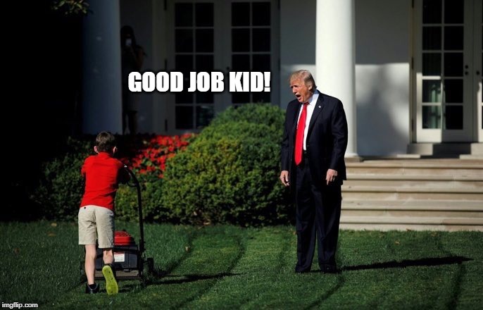 Trump Lawn Mower | GOOD JOB KID! | image tagged in trump lawn mower | made w/ Imgflip meme maker