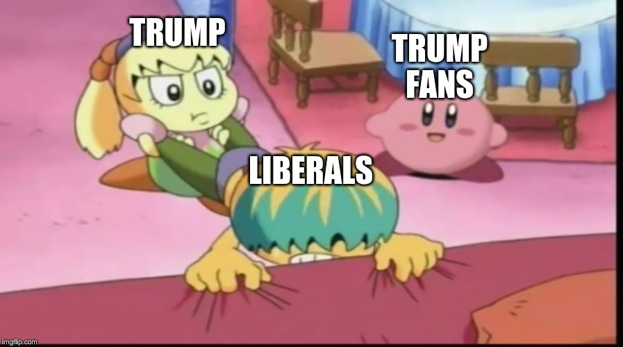 Kirby Just | TRUMP; TRUMP FANS; LIBERALS | image tagged in kirby just | made w/ Imgflip meme maker