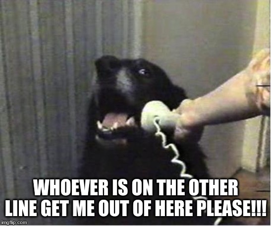 Yes this is dog | WHOEVER IS ON THE OTHER LINE GET ME OUT OF HERE PLEASE!!! | image tagged in yes this is dog | made w/ Imgflip meme maker