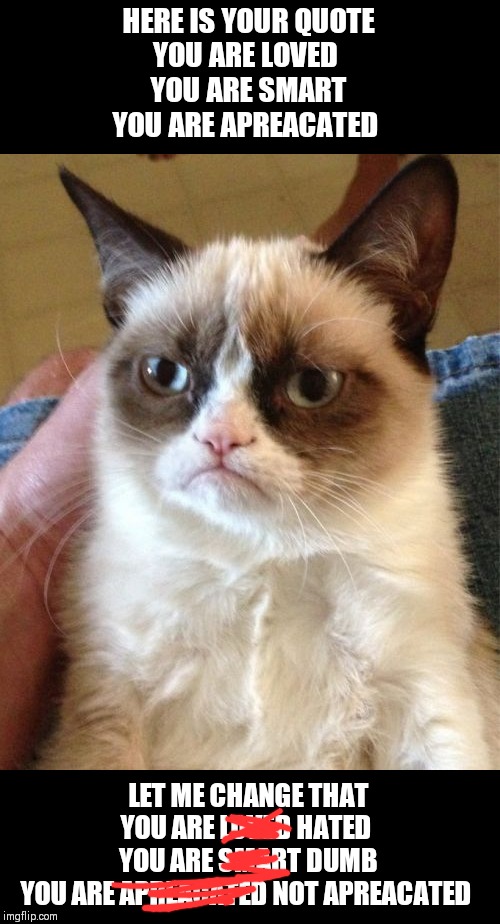 Grumpy Cat | HERE IS YOUR QUOTE
YOU ARE LOVED 
YOU ARE SMART
YOU ARE APREACATED; LET ME CHANGE THAT
YOU ARE LOVED HATED 
YOU ARE SMART DUMB
YOU ARE APREACATED NOT APREACATED | image tagged in memes,grumpy cat | made w/ Imgflip meme maker