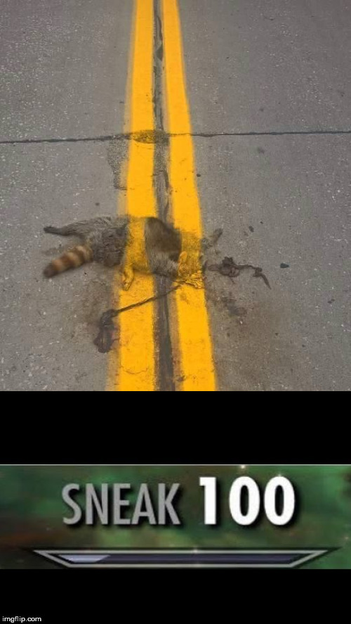 Roadkill line paint | image tagged in roadkill line paint | made w/ Imgflip meme maker