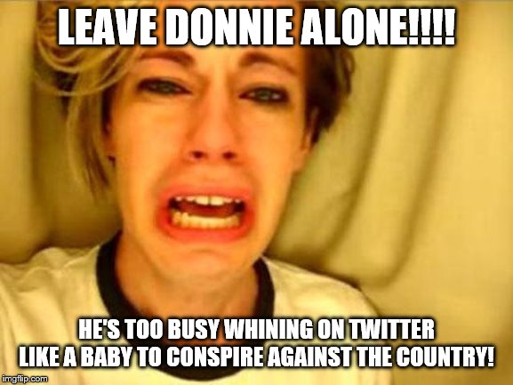 Leave Britney Alone | LEAVE DONNIE ALONE!!!! HE'S TOO BUSY WHINING ON TWITTER LIKE A BABY TO CONSPIRE AGAINST THE COUNTRY! | image tagged in leave britney alone | made w/ Imgflip meme maker