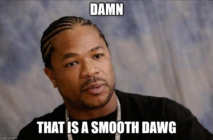 DAMN; THAT IS A SMOOTH DAWG | made w/ Imgflip meme maker