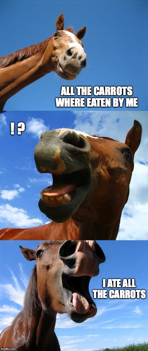 Just Horsing Around | ALL THE CARROTS WHERE EATEN BY ME; ! ? I ATE ALL THE CARROTS | image tagged in just horsing around | made w/ Imgflip meme maker