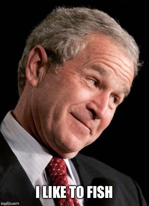 George W. Bush Blame  | I LIKE TO FISH | image tagged in george w bush blame | made w/ Imgflip meme maker