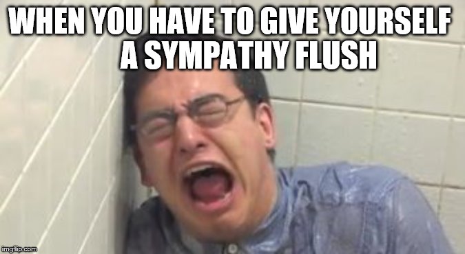 ___________________________ | WHEN YOU HAVE TO GIVE YOURSELF; A SYMPATHY FLUSH | image tagged in sympathy flush,toilet | made w/ Imgflip meme maker