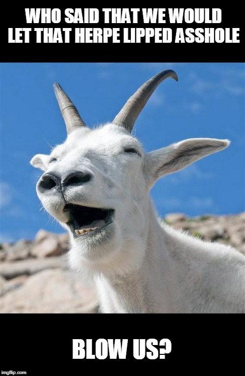 Laughing Goat Meme | WHO SAID THAT WE WOULD LET THAT HERPE LIPPED ASSHOLE BLOW US? | image tagged in memes,laughing goat | made w/ Imgflip meme maker