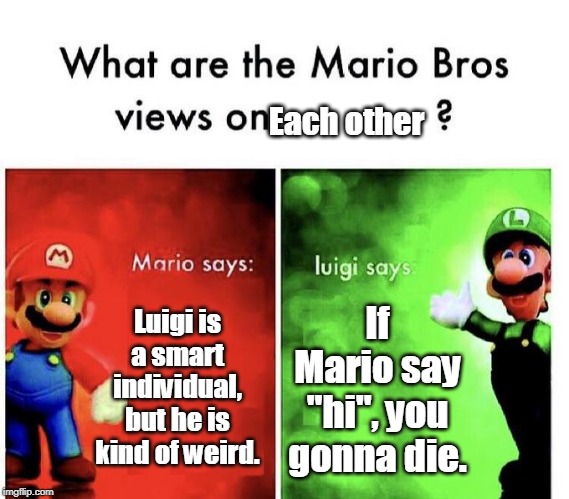 Mario Bros Views | Each other; Luigi is a smart individual, but he is kind of weird. If Mario say "hi", you gonna die. | image tagged in mario bros views | made w/ Imgflip meme maker