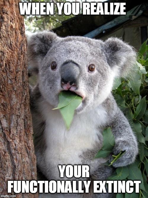 Surprised Koala | WHEN YOU REALIZE; YOUR FUNCTIONALLY EXTINCT | image tagged in memes,surprised koala | made w/ Imgflip meme maker