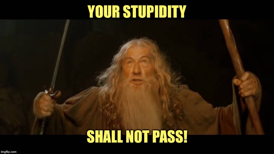 Gandalf - you shall not pass | YOUR STUPIDITY SHALL NOT PASS! | image tagged in gandalf - you shall not pass | made w/ Imgflip meme maker