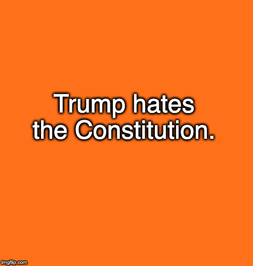 Orange background | Trump hates the Constitution. | image tagged in orange background | made w/ Imgflip meme maker
