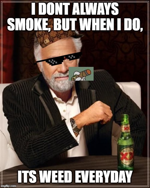 The Most Interesting Man In The World Meme | I DONT ALWAYS SMOKE, BUT WHEN I DO, ITS WEED EVERYDAY | image tagged in memes,the most interesting man in the world | made w/ Imgflip meme maker