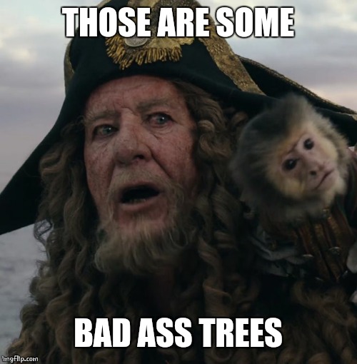 THOSE ARE SOME BAD ASS TREES | made w/ Imgflip meme maker