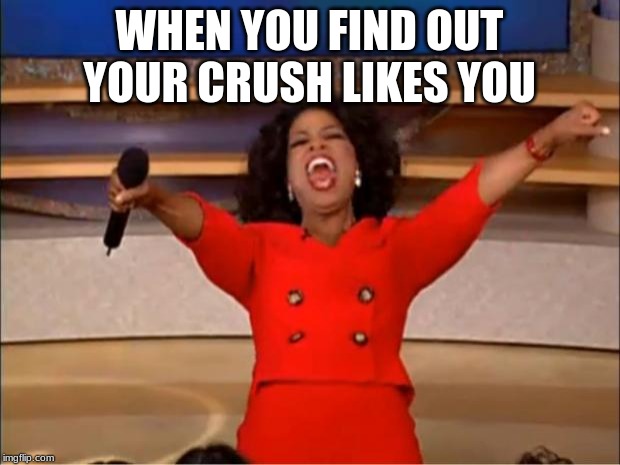 Oprah You Get A | WHEN YOU FIND OUT YOUR CRUSH LIKES YOU | image tagged in memes,oprah you get a | made w/ Imgflip meme maker