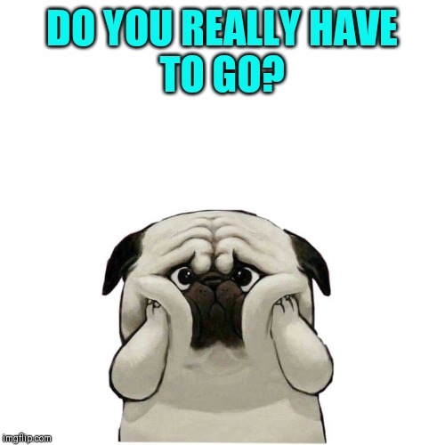 DO YOU REALLY HAVE
TO GO? | made w/ Imgflip meme maker