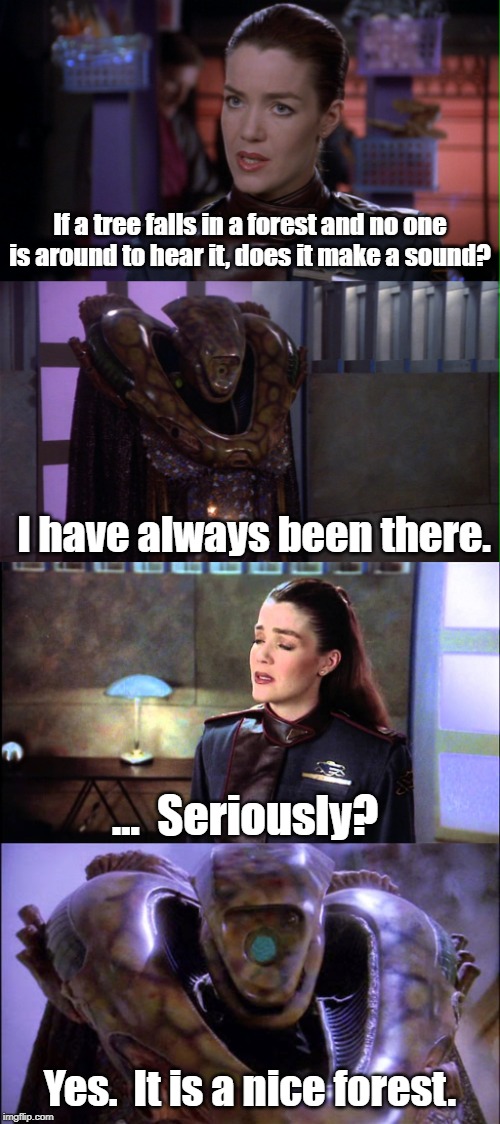 A Vorlon in a forest | If a tree falls in a forest and no one is around to hear it, does it make a sound? I have always been there. ...  Seriously? Yes.  It is a nice forest. | image tagged in forest,tree falls,babylon 5 | made w/ Imgflip meme maker