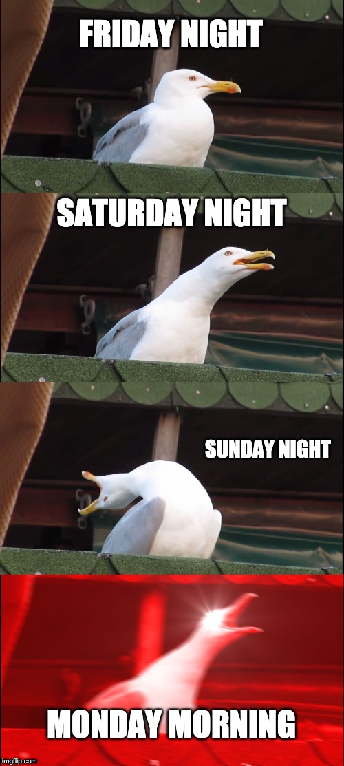 Inhaling Seagull Meme | FRIDAY NIGHT; SATURDAY NIGHT; SUNDAY NIGHT; MONDAY MORNING | image tagged in memes,inhaling seagull | made w/ Imgflip meme maker