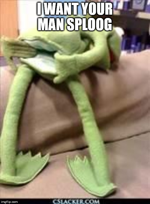Gay kermit | I WANT YOUR MAN SPLOOG | image tagged in gay kermit | made w/ Imgflip meme maker