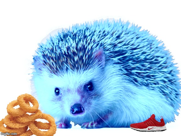 Blue tinted hedgehog that kinda looks like sonic next to onion rings wearing shoes. I don't know why I made this. | image tagged in sonic the hedgehog,super smash bros | made w/ Imgflip meme maker