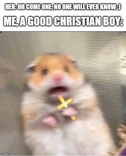 shook christian hamster | ME, A GOOD CHRISTIAN BOY:; HER: OH COME ONE, NO ONE WILL EVER KNOW ;) | image tagged in shook christian hamster | made w/ Imgflip meme maker