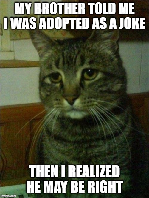Depressed Cat | MY BROTHER TOLD ME I WAS ADOPTED AS A JOKE; THEN I REALIZED HE MAY BE RIGHT | image tagged in memes,depressed cat | made w/ Imgflip meme maker