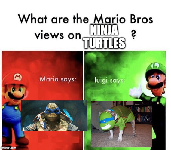 ninja turtles | NINJA TURTLES | image tagged in mario bros views | made w/ Imgflip meme maker